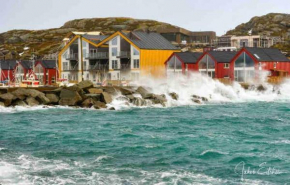 Lofoten seaview